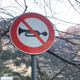 Image for article titled A Beginner's Guide To The Insanity Of Driving In Italy. Sort Of.